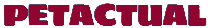 Pet Actual – Novedades en Comida y Accesorios para Mascotas